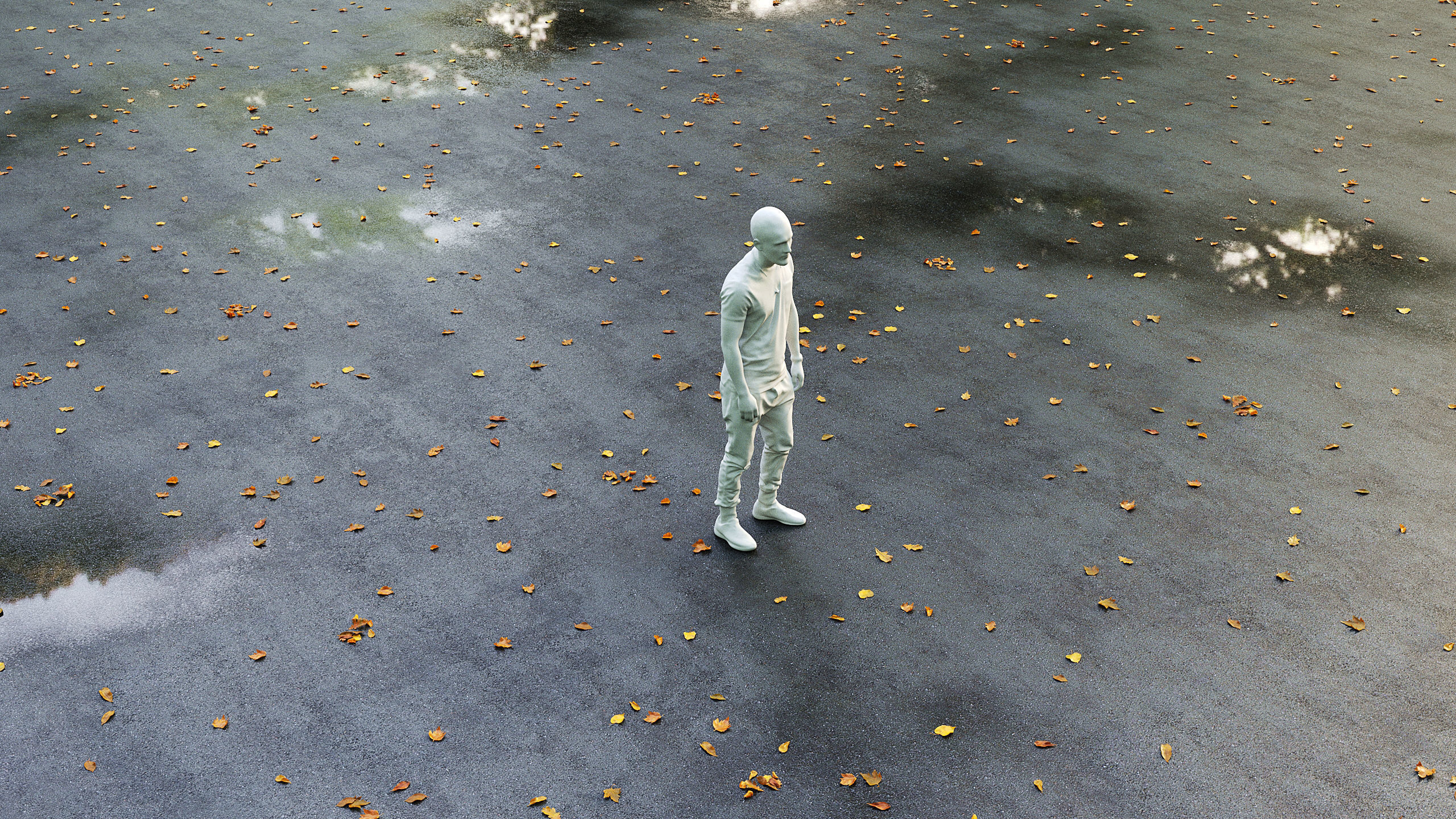 Wet asphalt with leaves 3D model_3