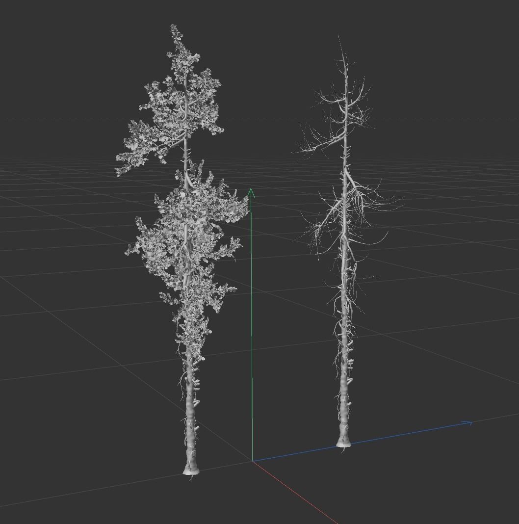 High Quality Fir Tree 18 Free 3D model_4