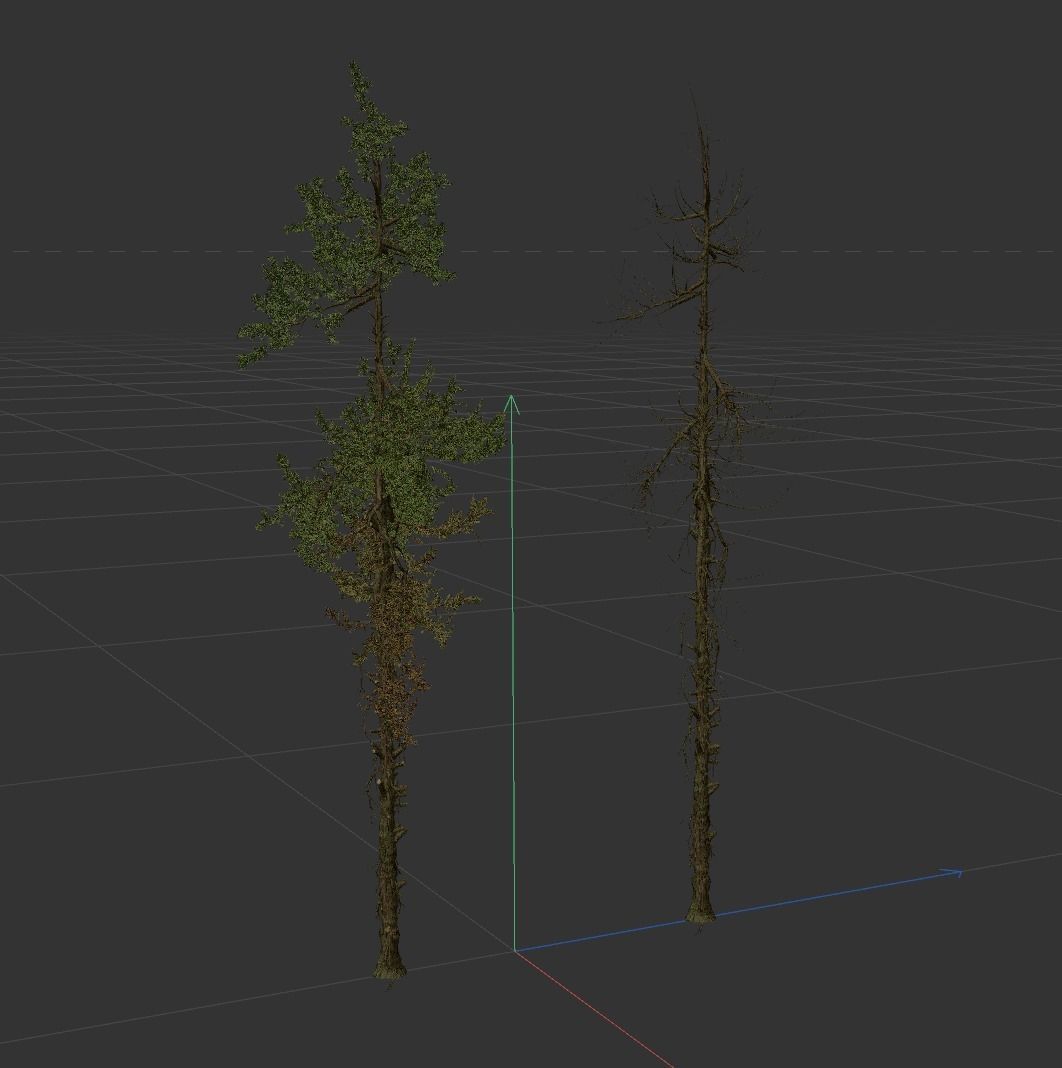 High Quality Fir Tree 18 Free 3D model_3