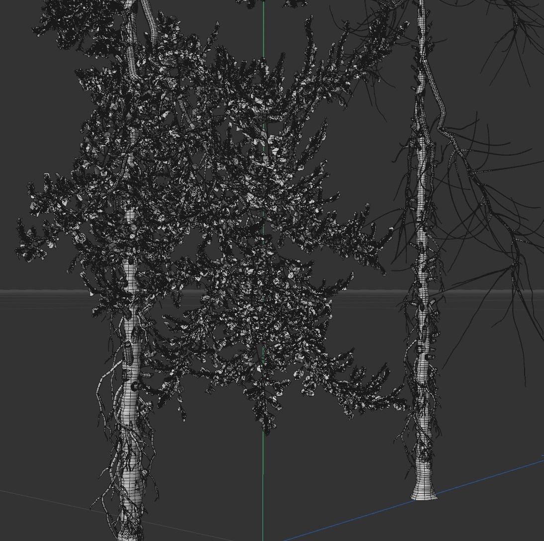 High Quality Fir Tree 19 3D model_5