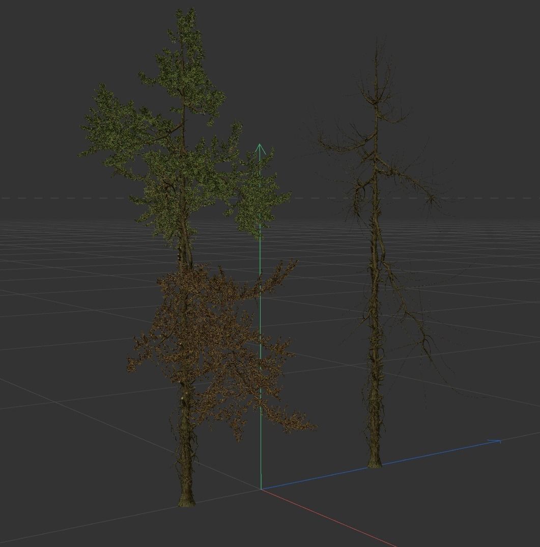 High Quality Fir Tree 19 3D model_3