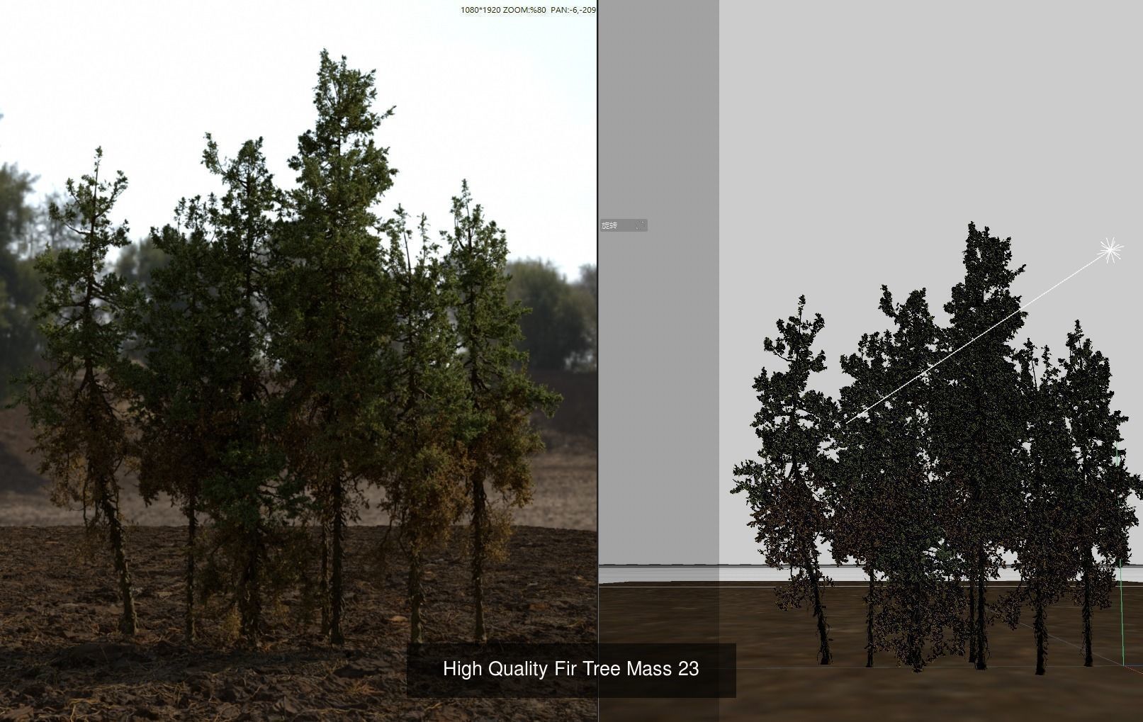 1-24 High Quality Fir Tree Collection _10