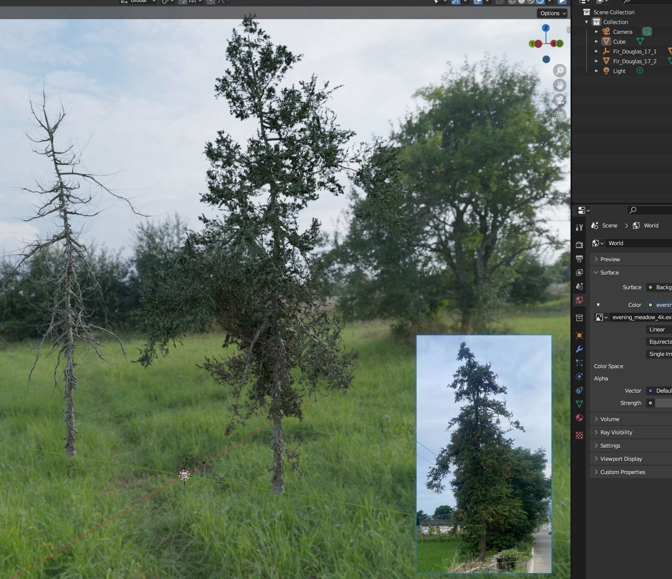 1-24 High Quality Fir Tree Collection _12