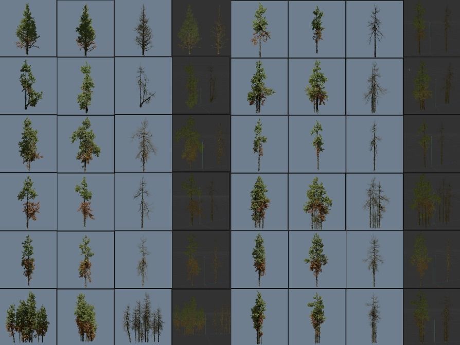 1-24 High Quality Fir Tree Collection _6