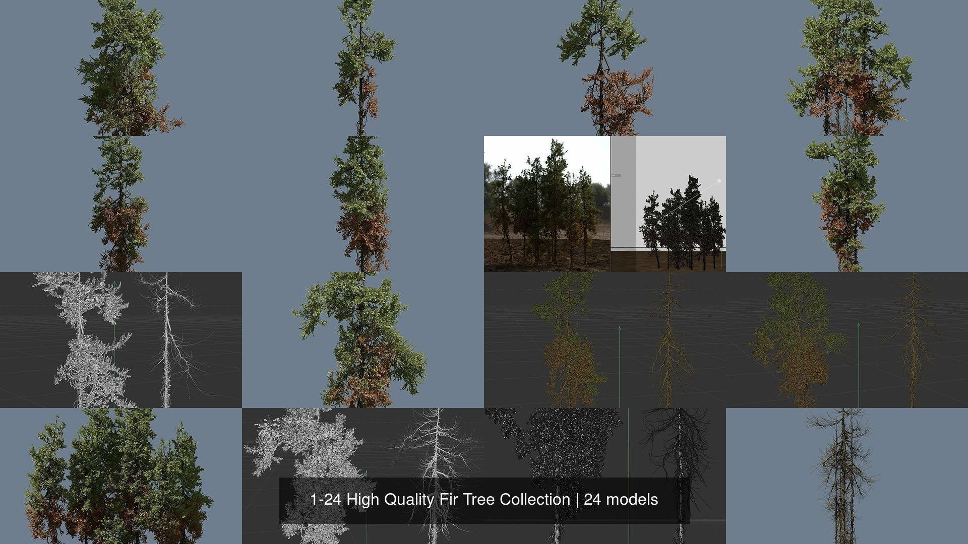 1-24 High Quality Fir Tree Collection _5