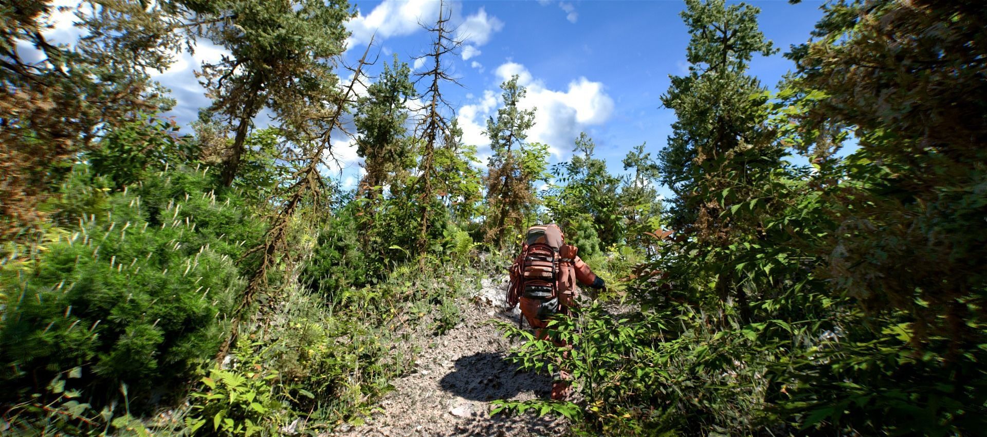 1-24 High Quality Fir Tree Collection _4