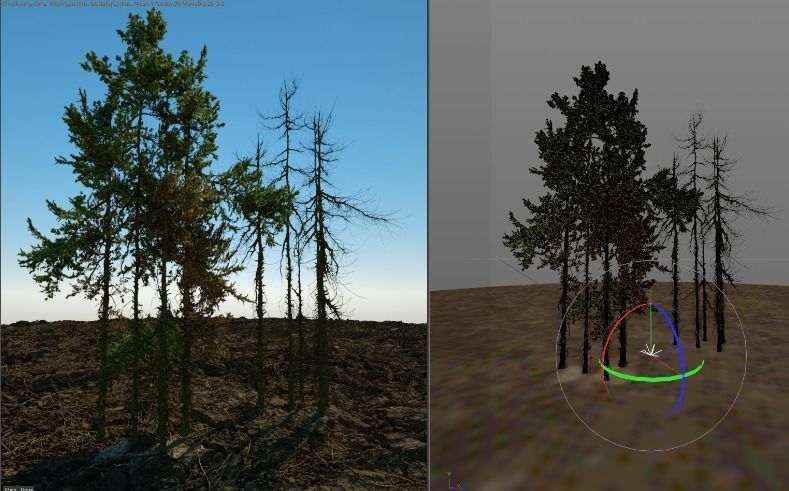 1-24 High Quality Fir Tree Collection _11