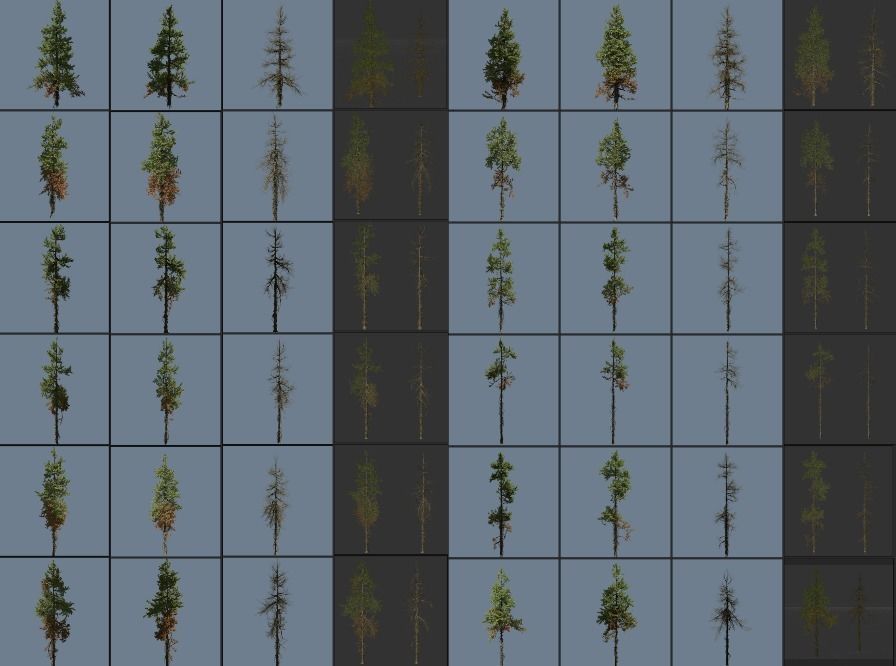 1-24 High Quality Fir Tree Collection _8