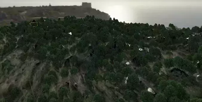 A complete forest landscape with fog 