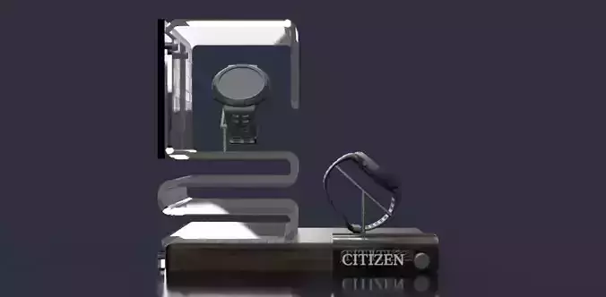 Wristwatch Glorifier Display - Citizen