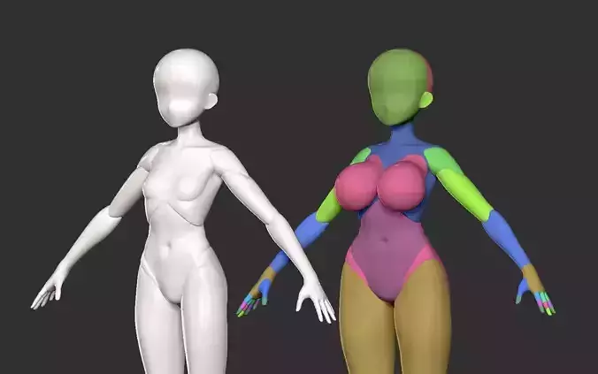 Modular Female Basemesh with Layers