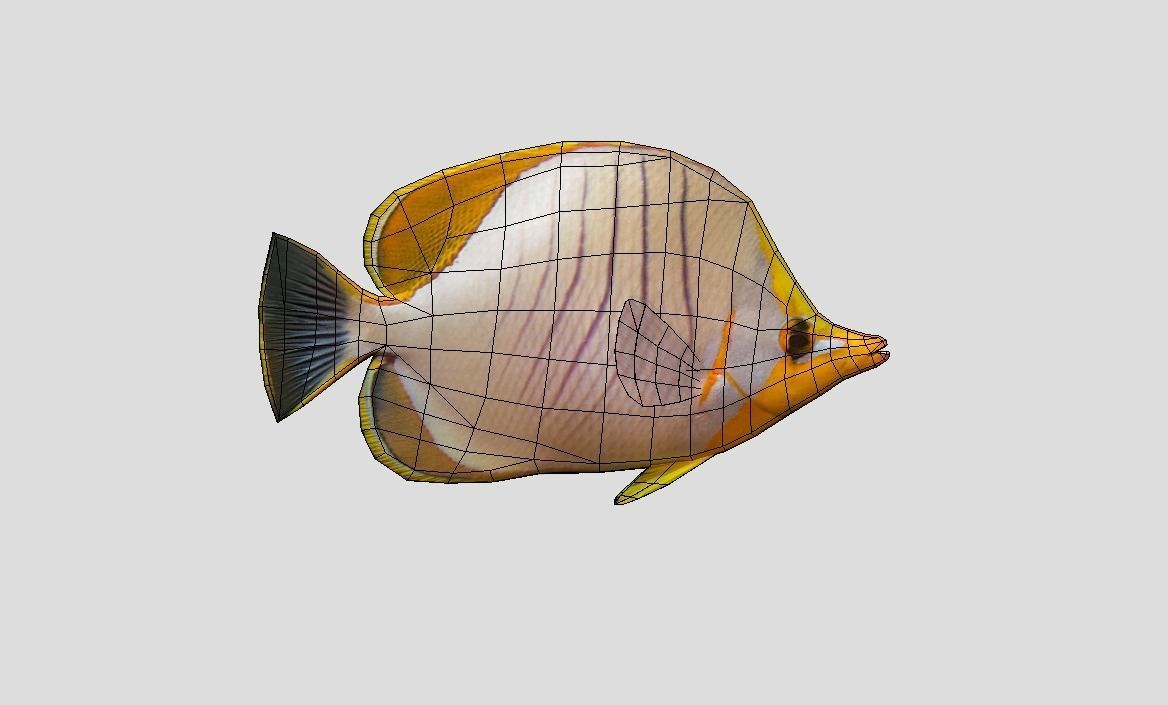 Yellow Head Butterfly fish Low-poly 3D model_2