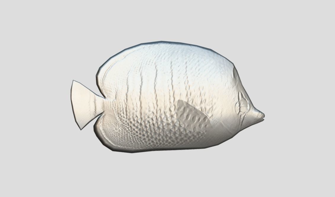 Butterflyfish Low-poly 3D model_3