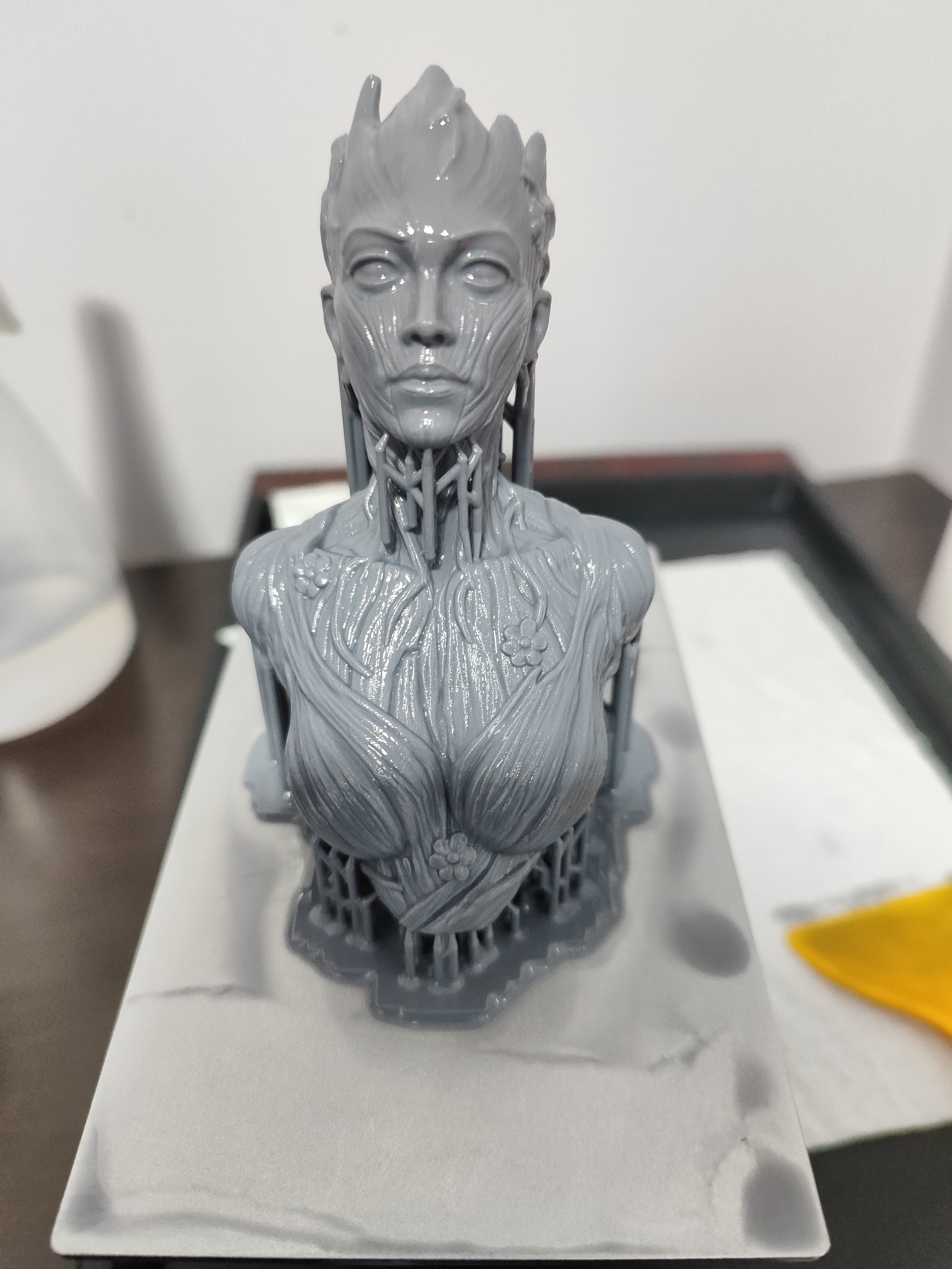 ARBOREA STL - 3D print model_6