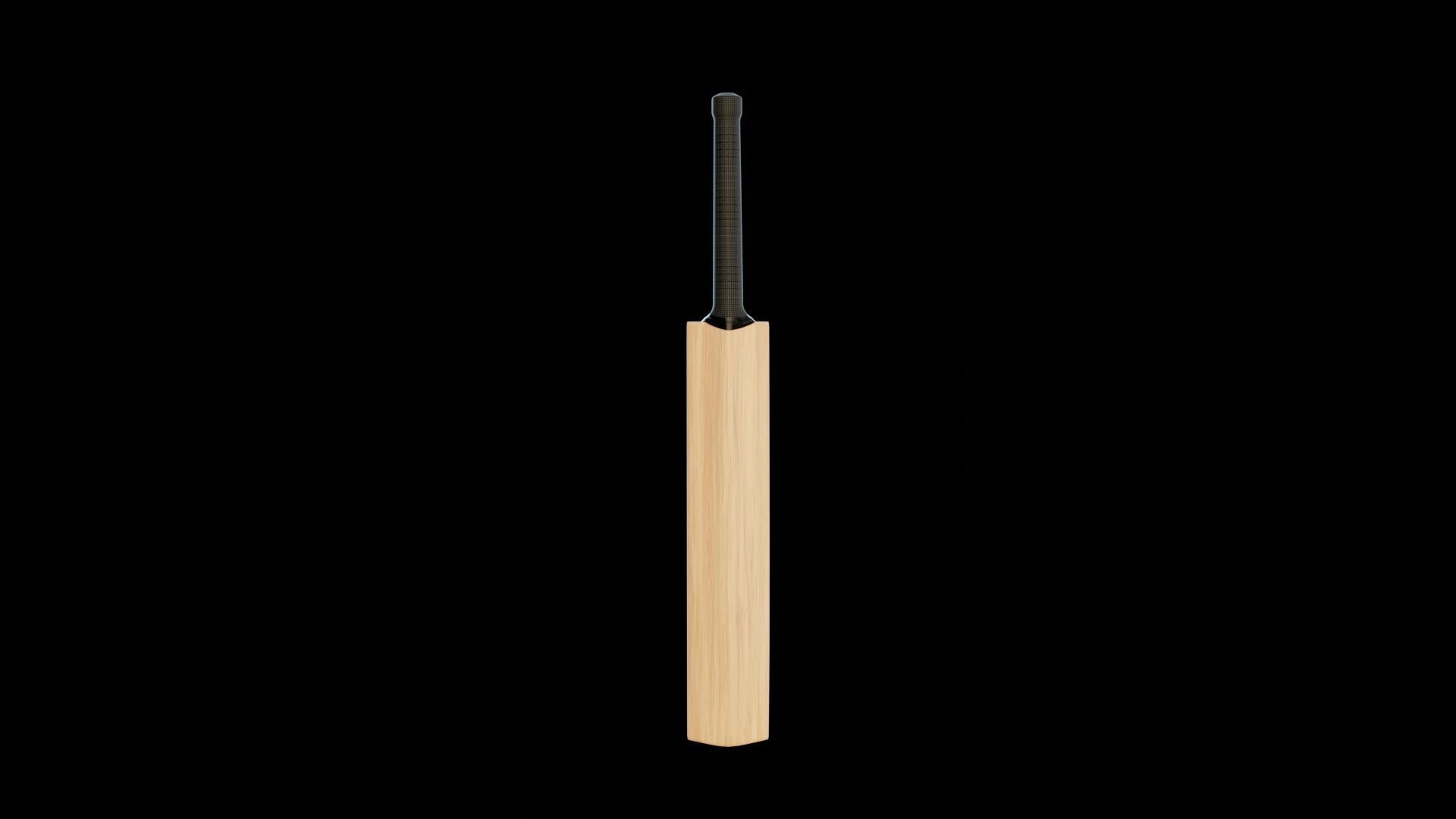 Cricket bat 3D model_1