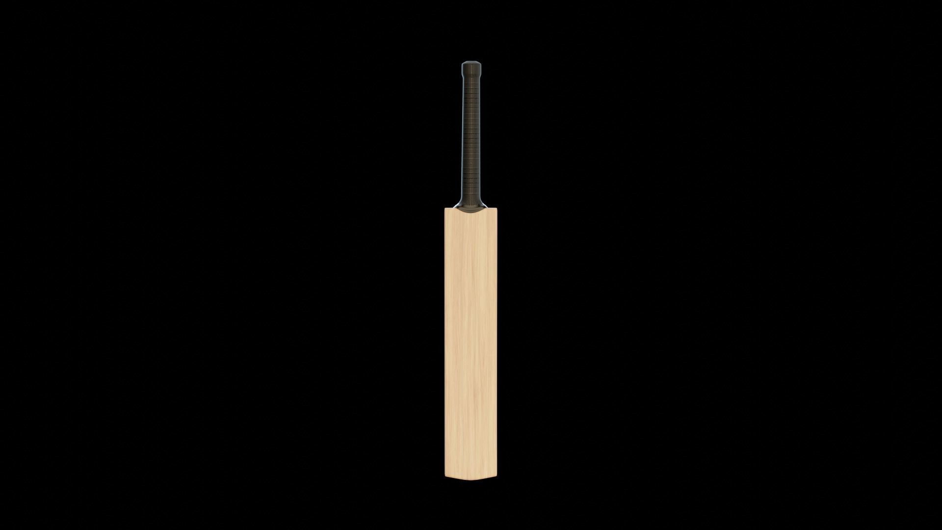 Cricket bat 3D model_3