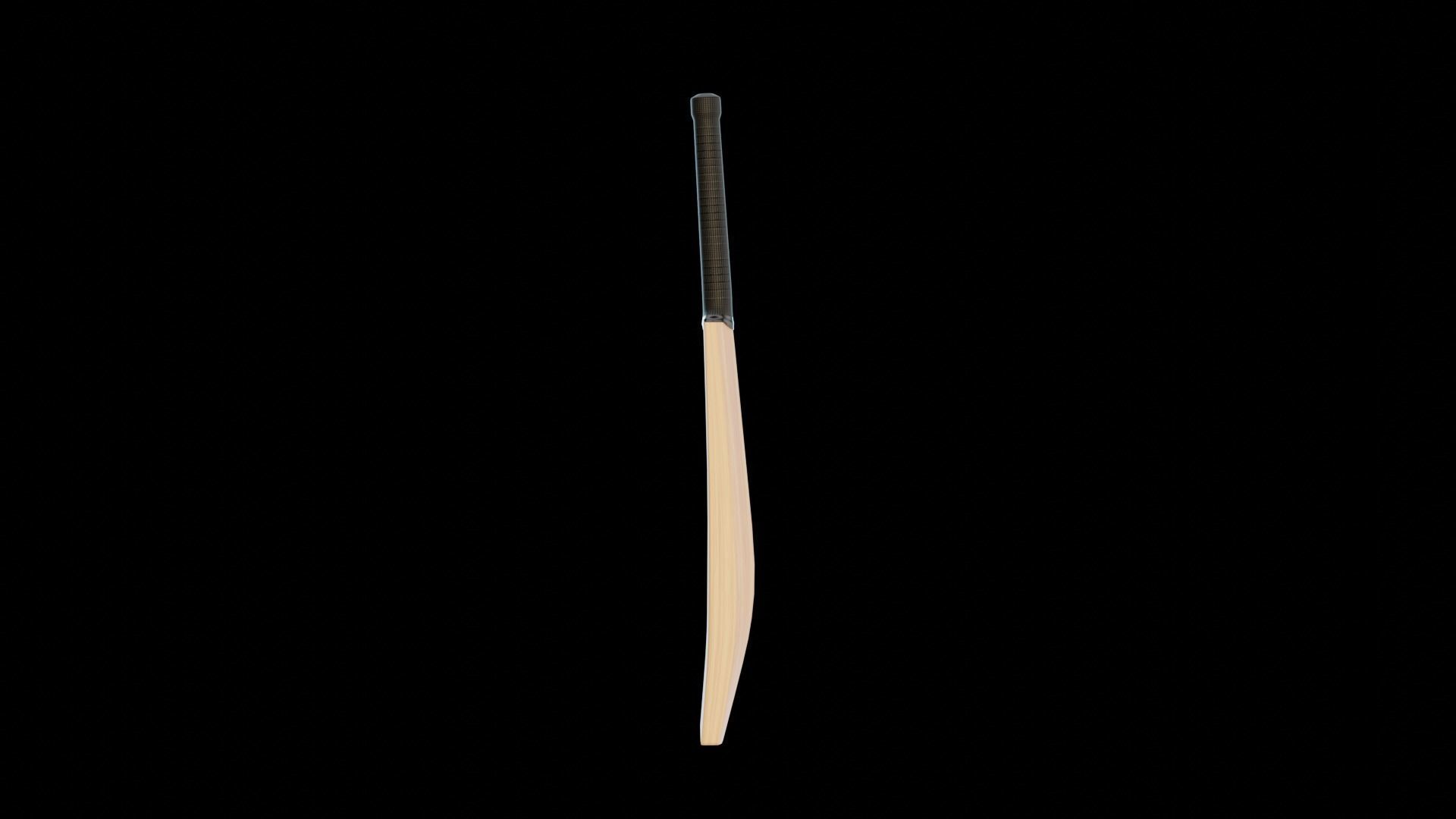 Cricket bat 3D model_2