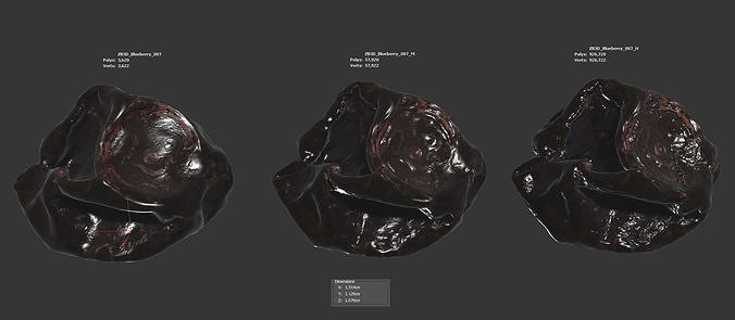 Blueberry 3D model 6