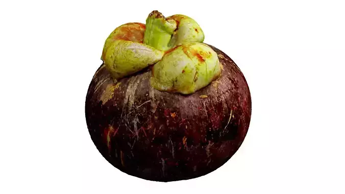 MANGOSTEEN