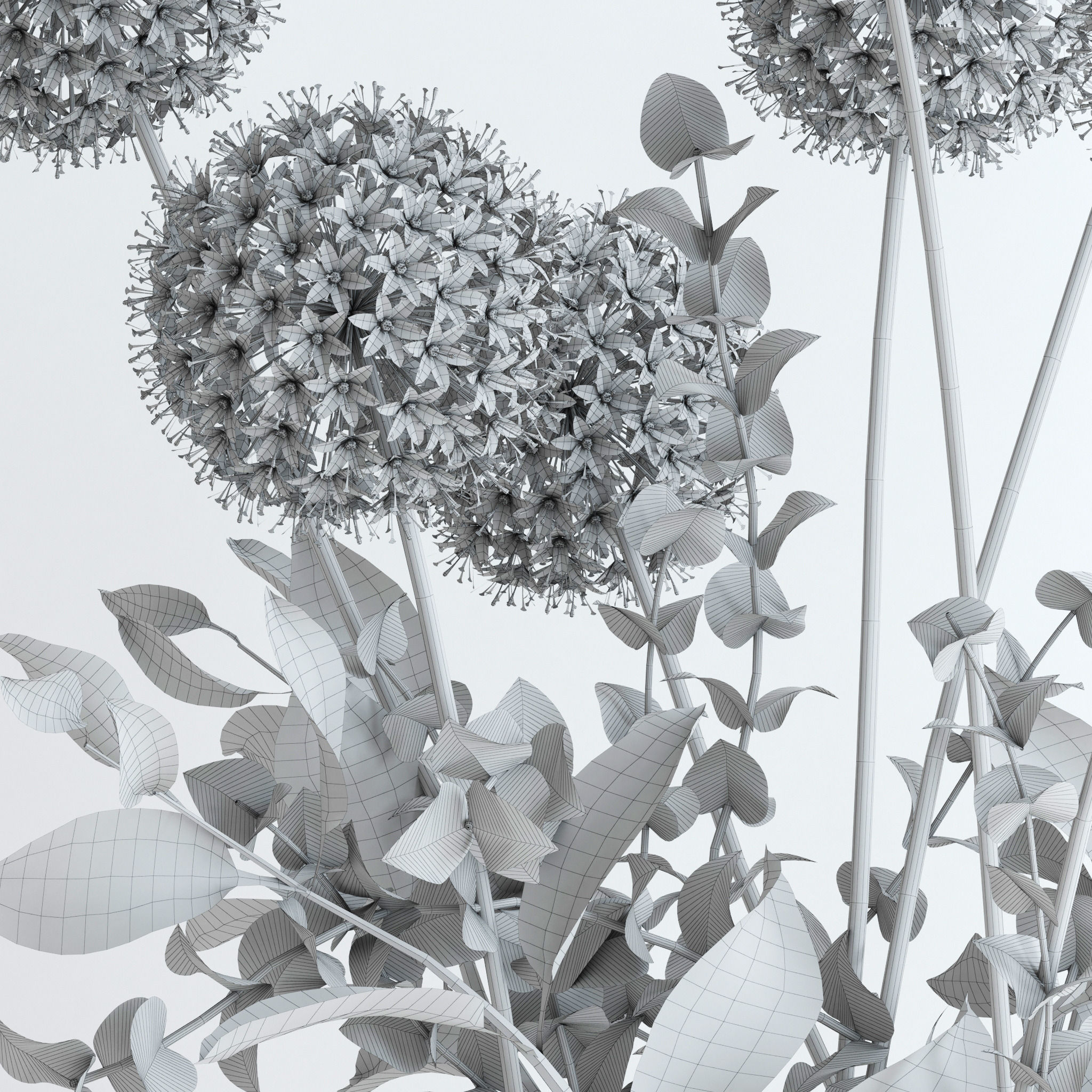 Alliums and Eucalyptus plus Tangerine branches and Palm leaf 3D model_9