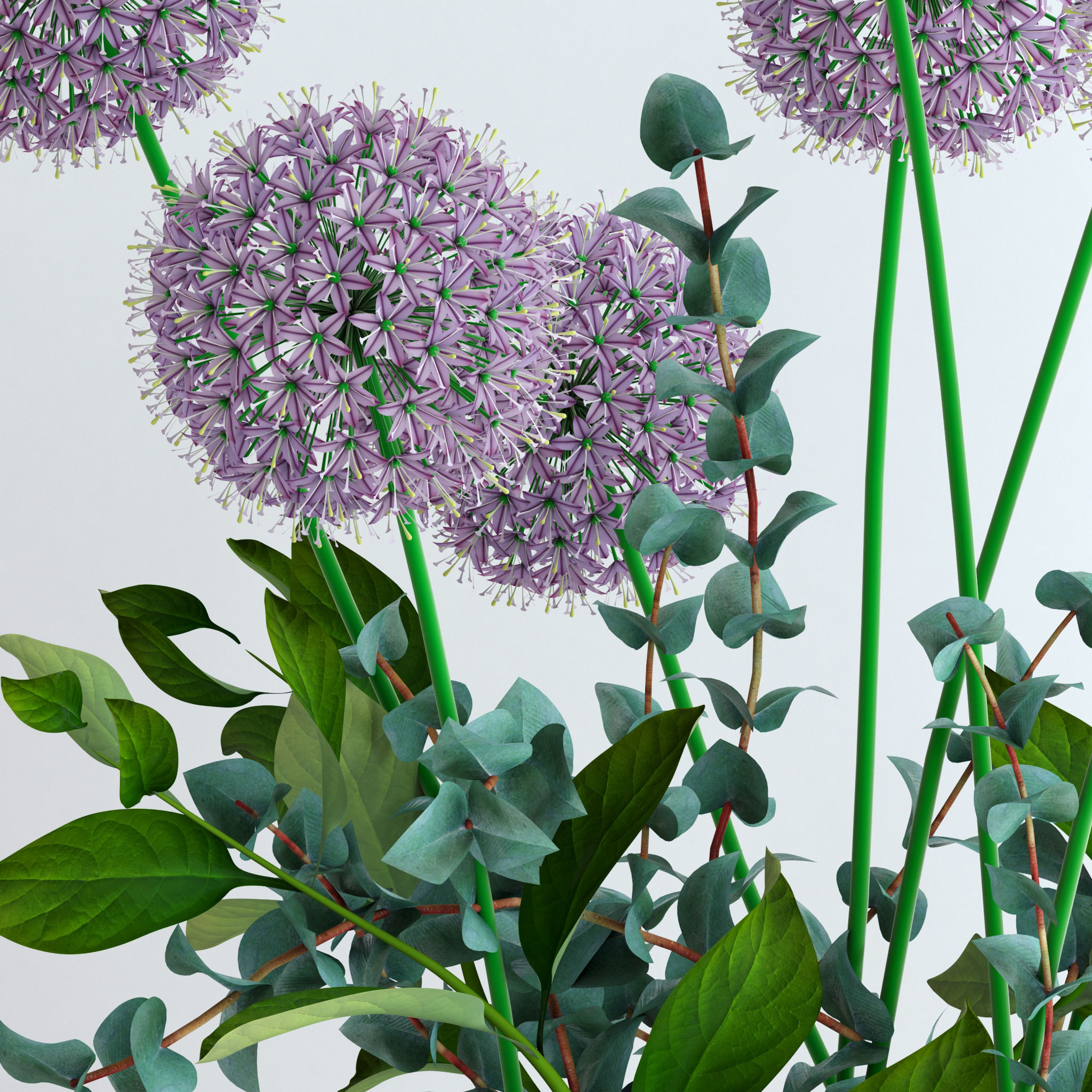 Alliums and Eucalyptus plus Tangerine branches and Palm leaf 3D model_7