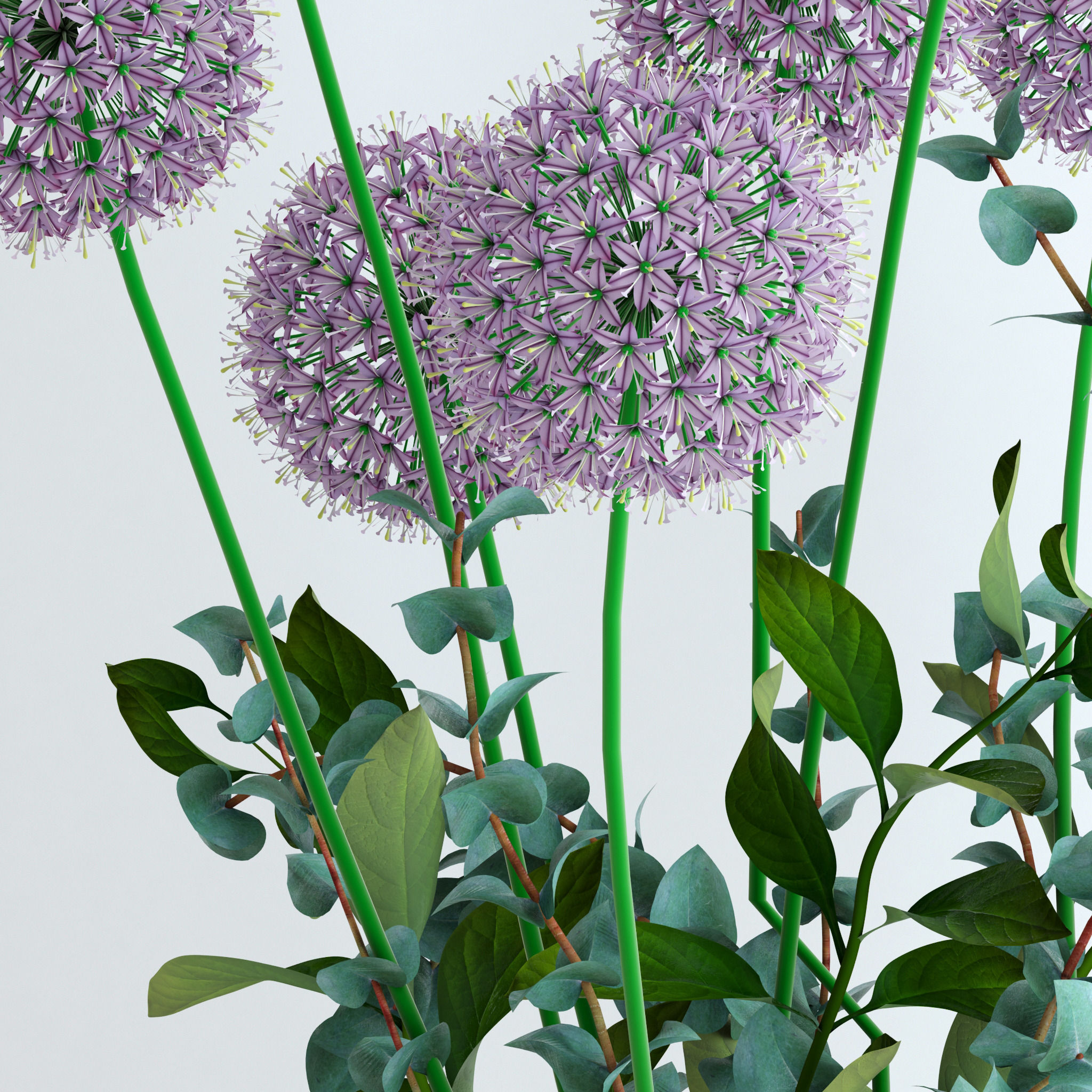 Alliums and Eucalyptus plus Tangerine branches and Palm leaf 3D model_6