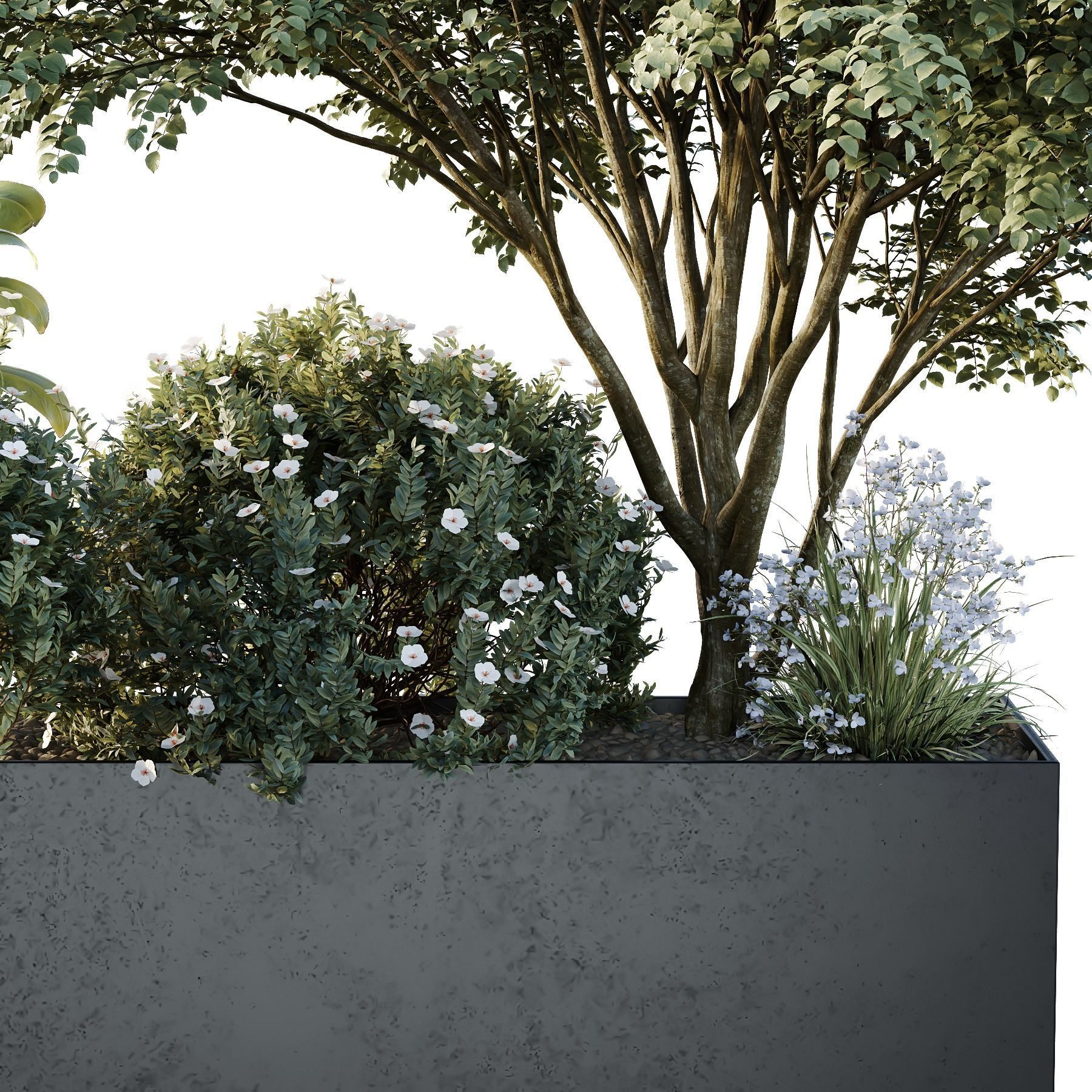 HQ Tree and bush garden box outdoor VOL 13 3D model_1