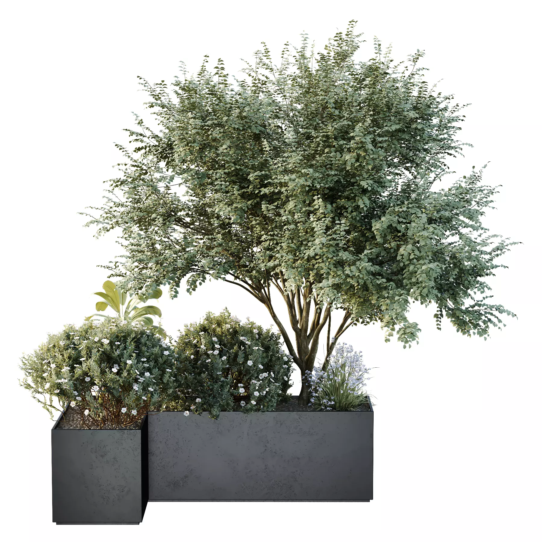 HQ Tree and bush garden box outdoor VOL 13 3D model_0