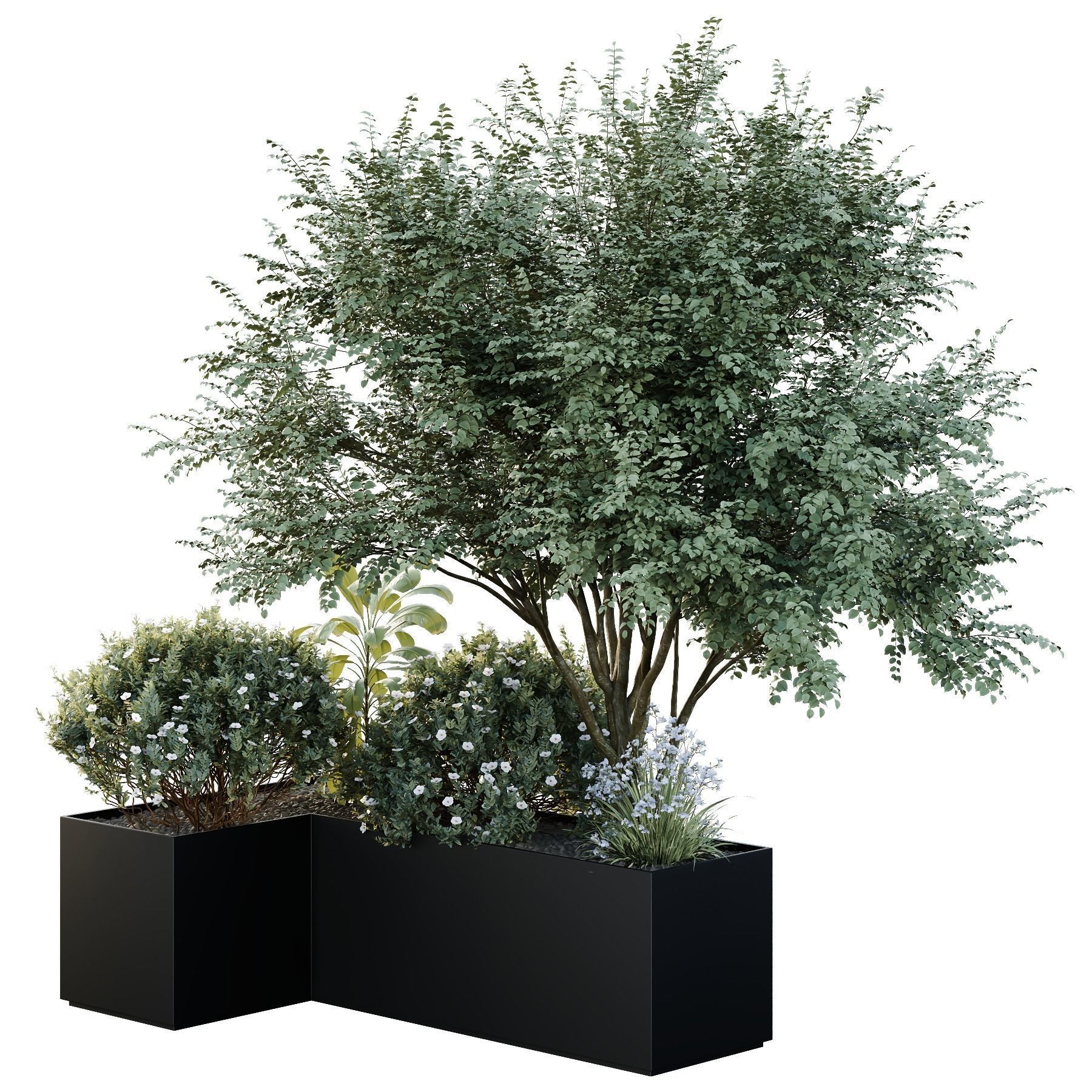 HQ Tree and bush garden box outdoor VOL 13 3D model_2