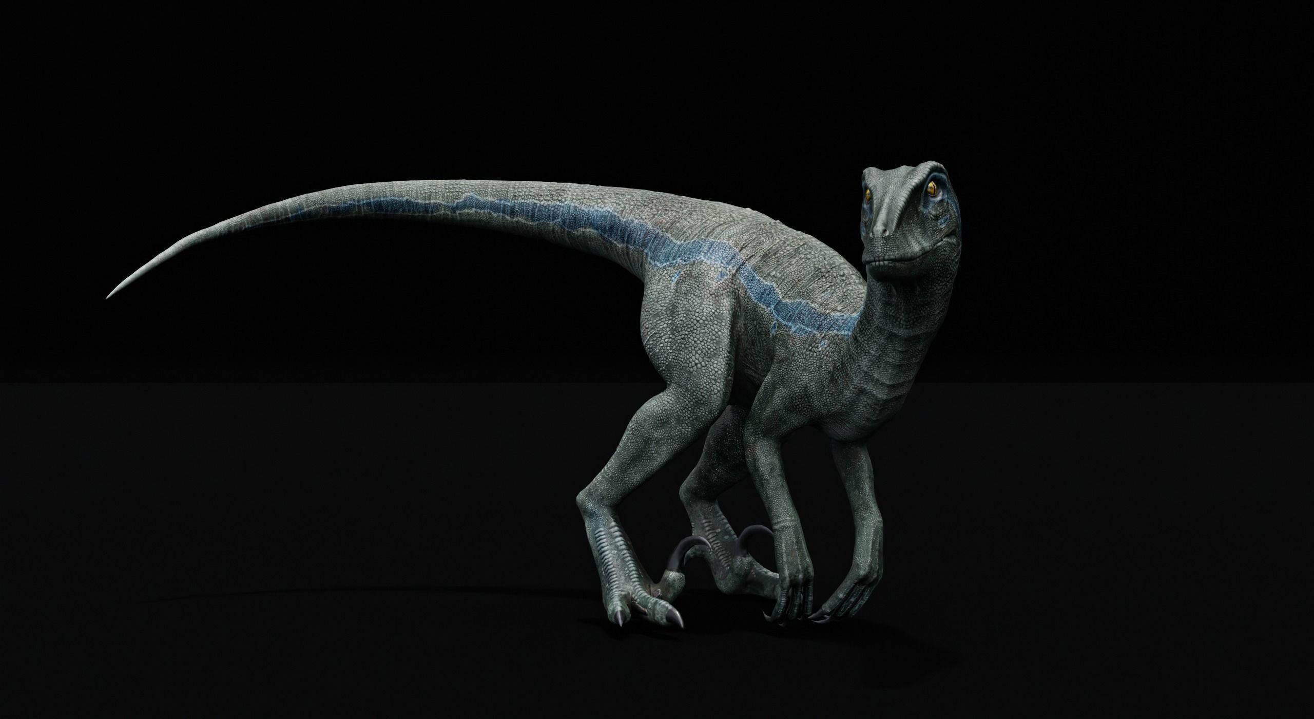 Monster Velociraptor Dinosaur Low-poly 3D model_9