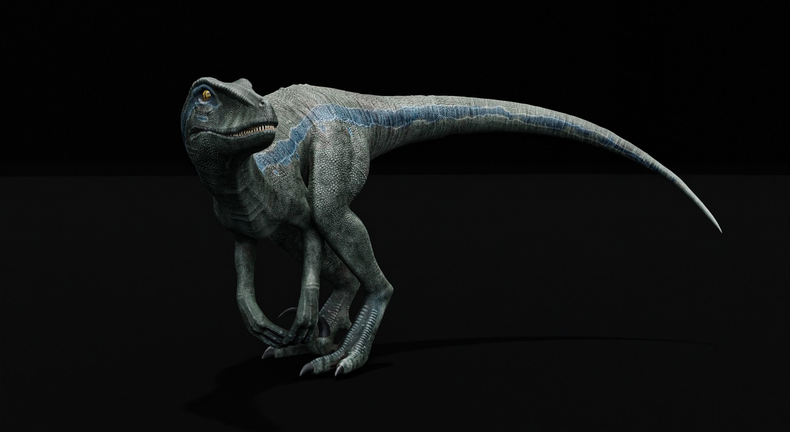 Monster Velociraptor Dinosaur Low-poly 3D model_26