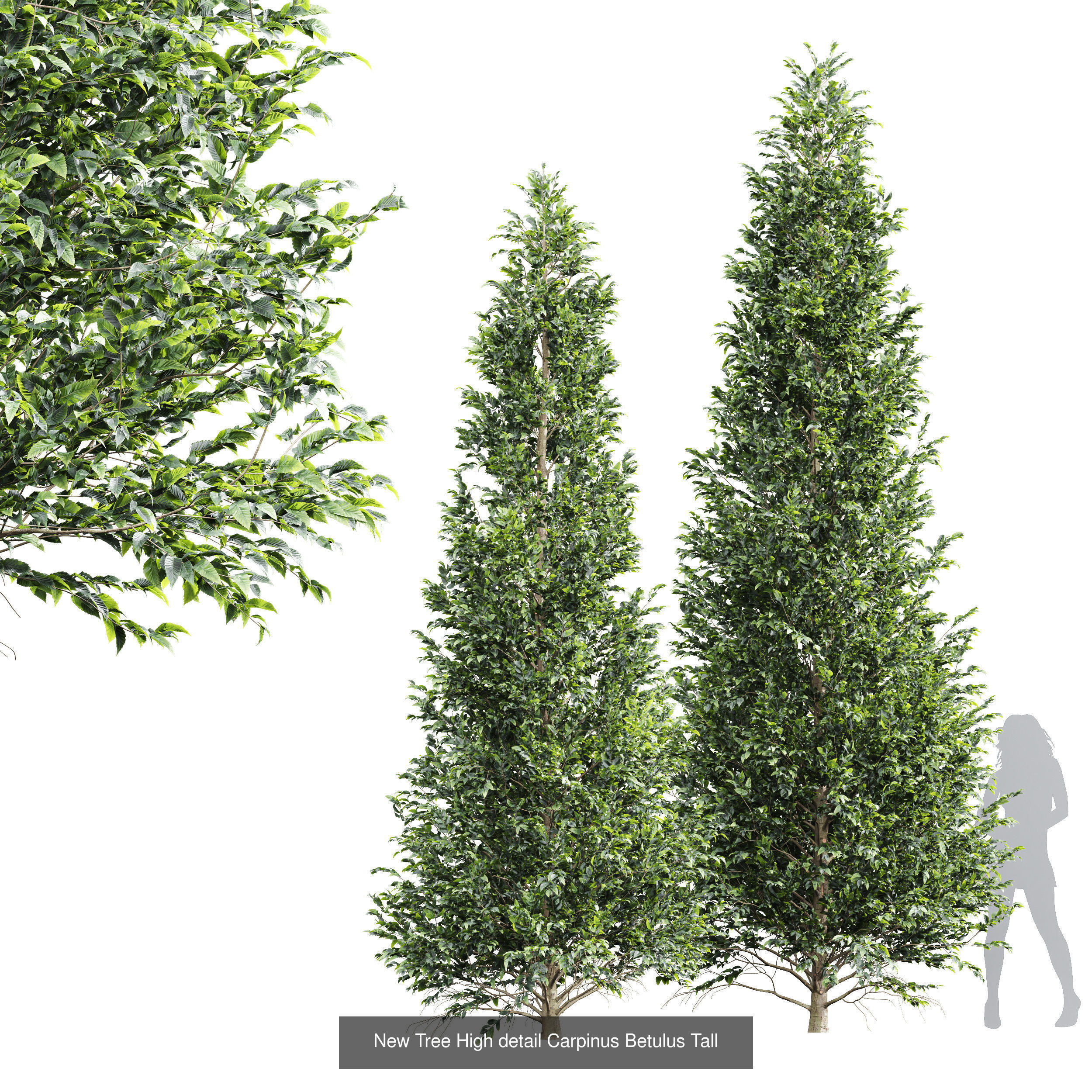 6 Different SETS of Tree SET VOL66 3D Model Collection_2