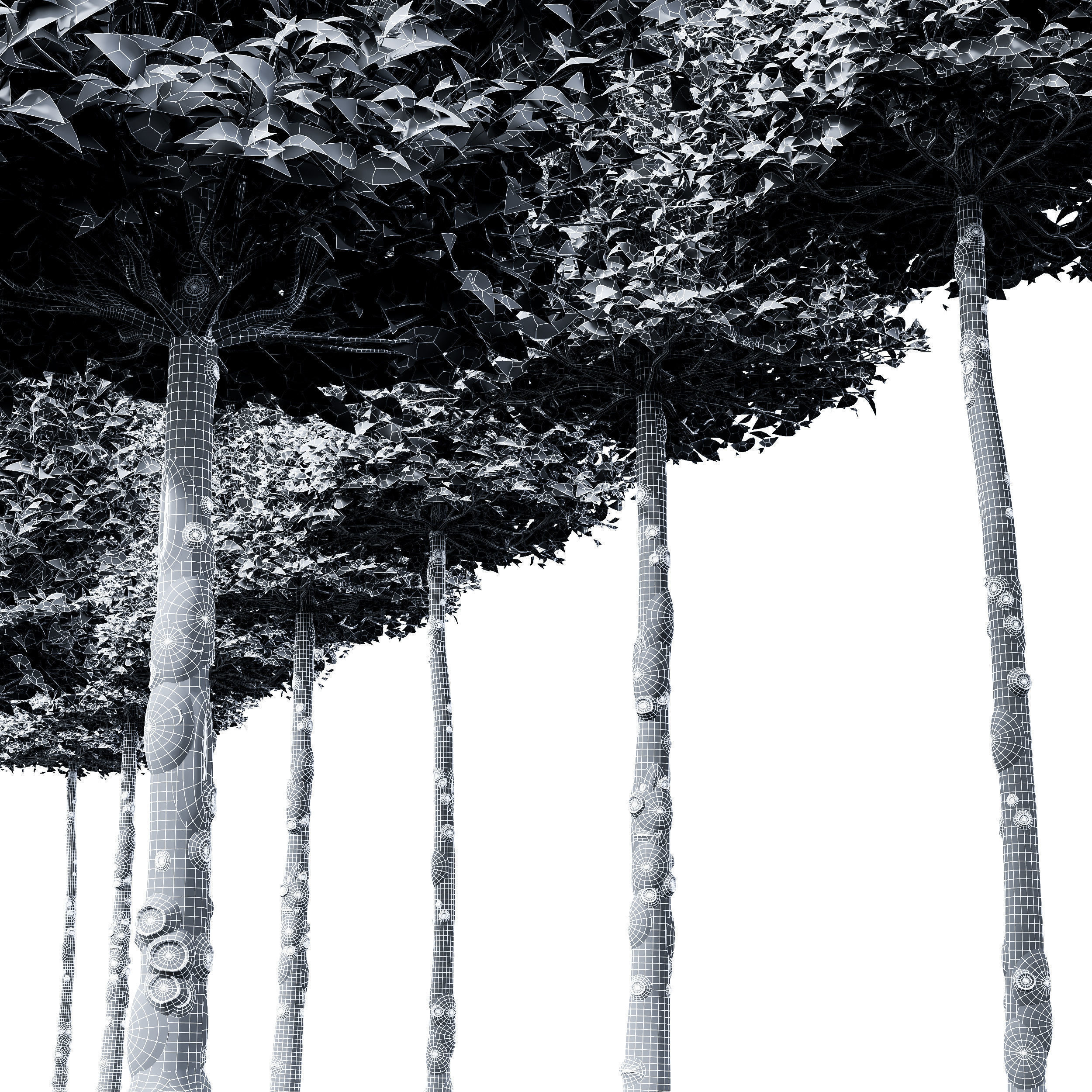 6 Different SETS of Tree SET VOL66 3D Model Collection_18