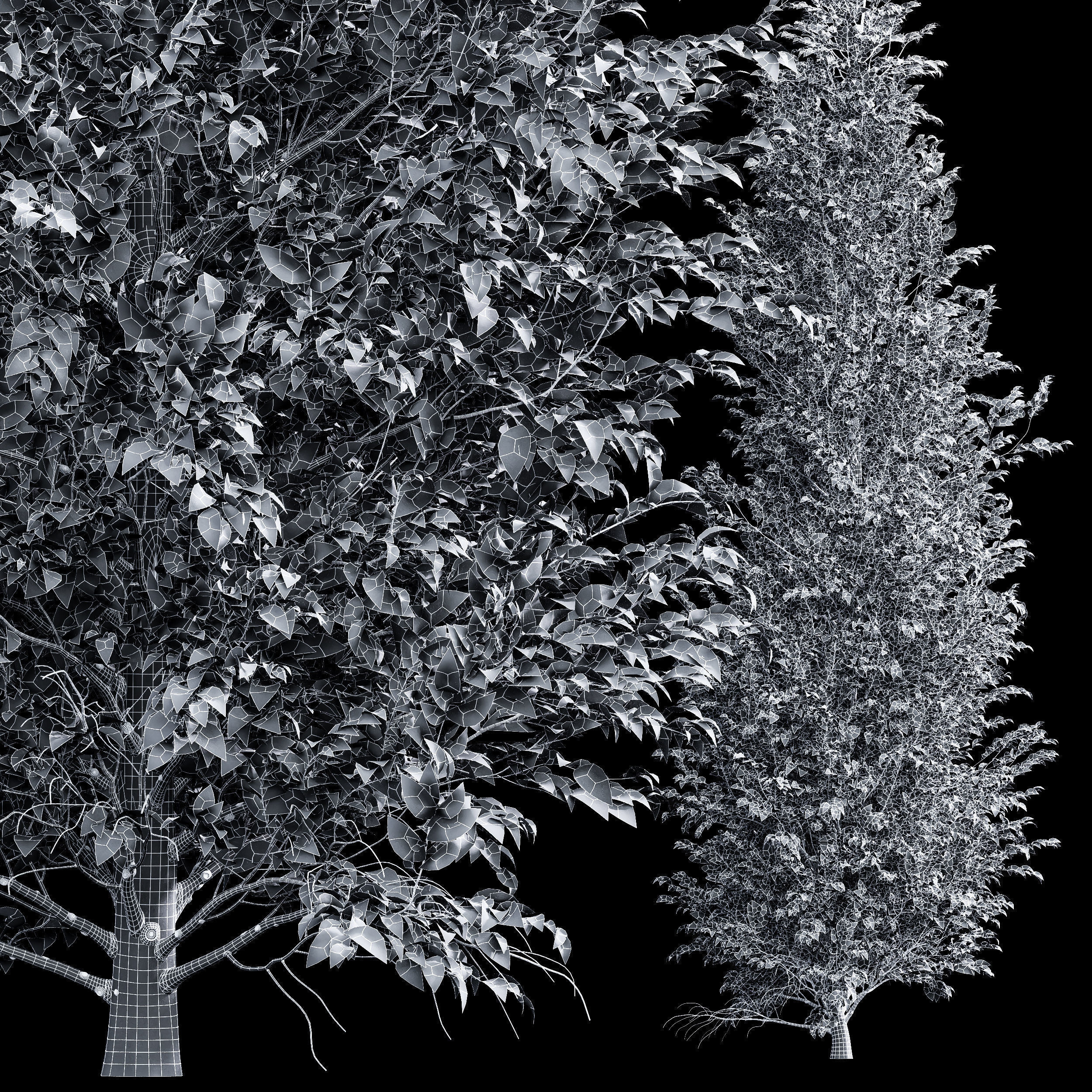 6 Different SETS of Tree SET VOL66 3D Model Collection_20