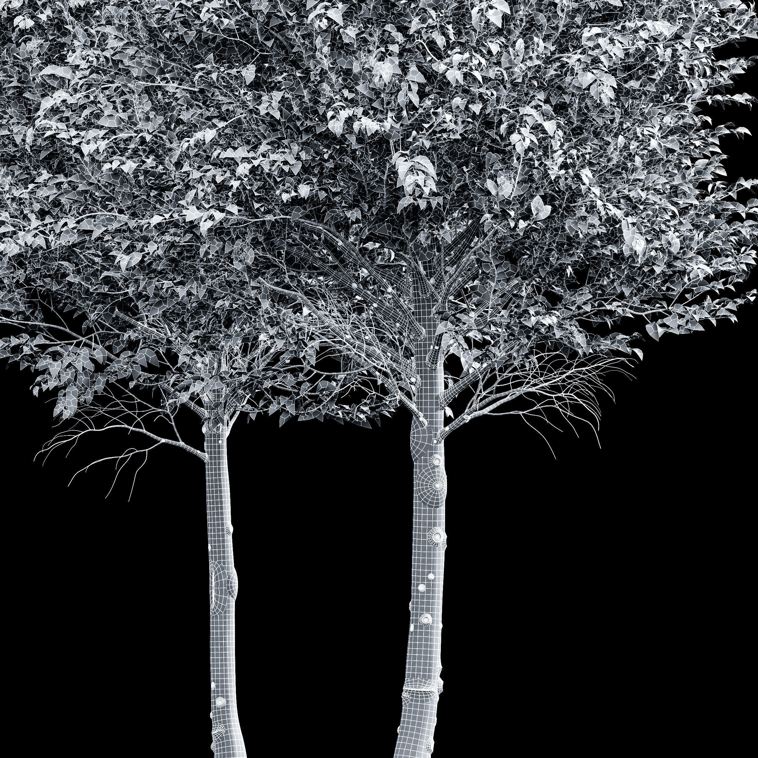 6 Different SETS of Tree SET VOL66 3D Model Collection_21