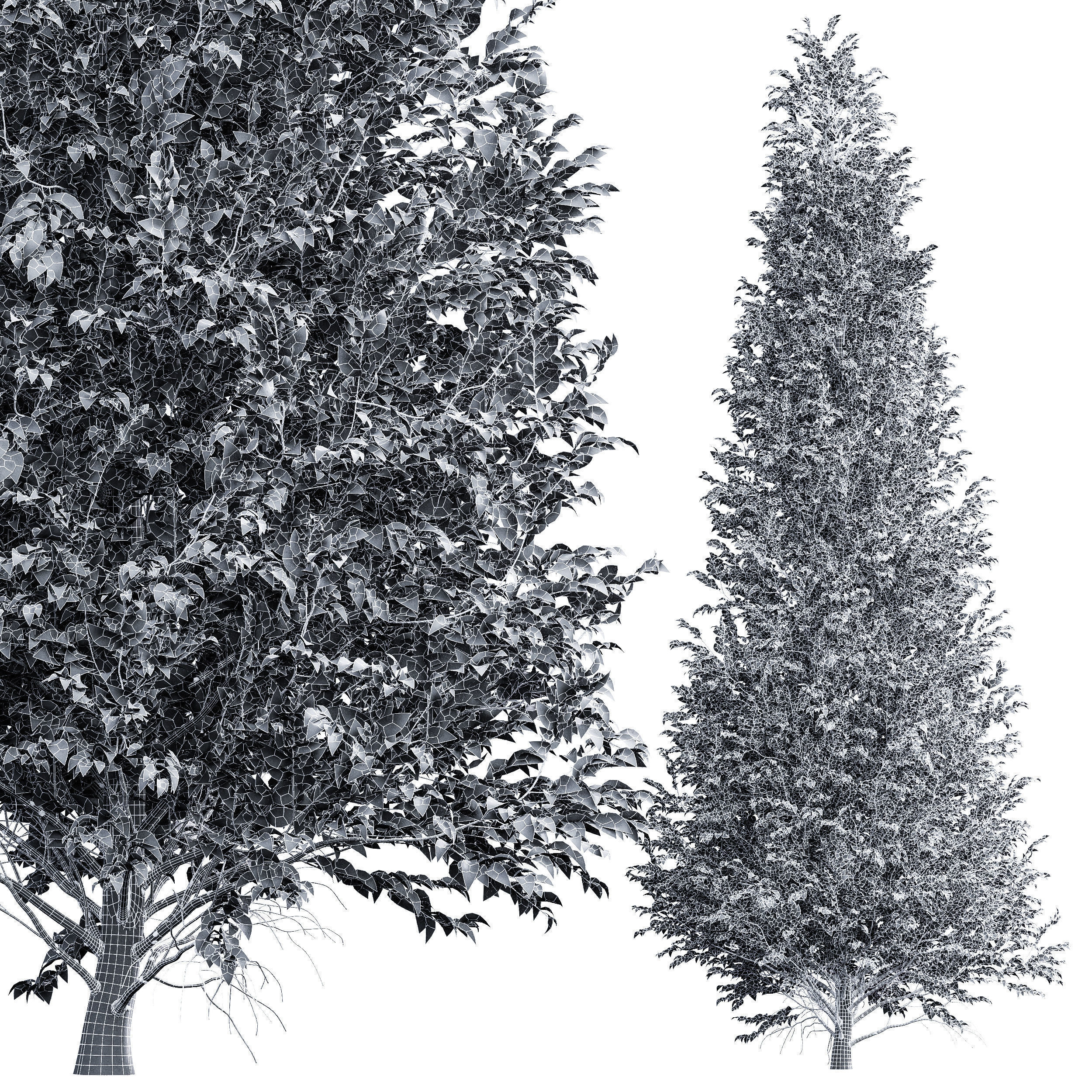 6 Different SETS of Tree SET VOL66 3D Model Collection_22