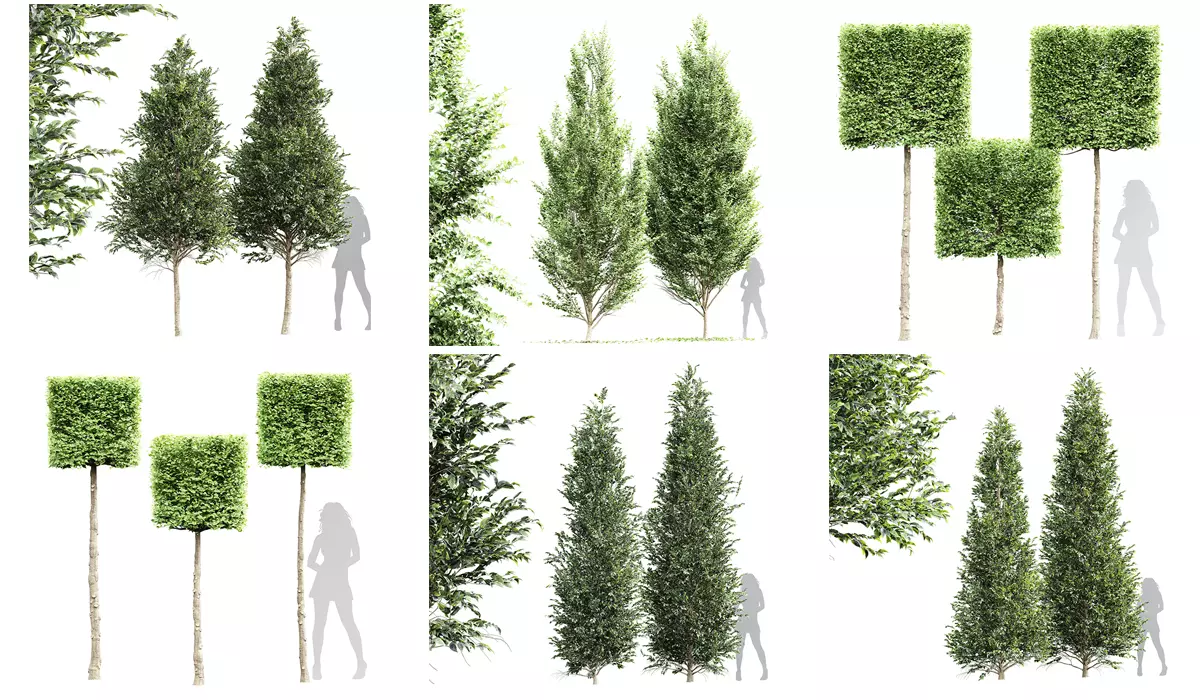 6 Different SETS of Tree SET VOL66 3D Model Collection_0