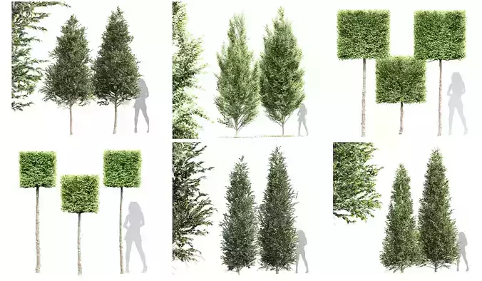 6 Different SETS of Tree SET VOL66 3D Model Collection