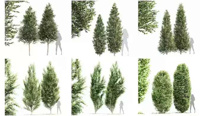 6 Different SETS of Tree SET VOL67 3D Model Collection