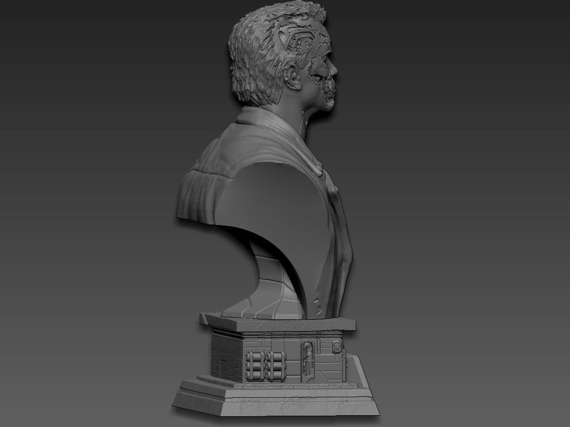 Terminator 2 Bust 3D print model_11