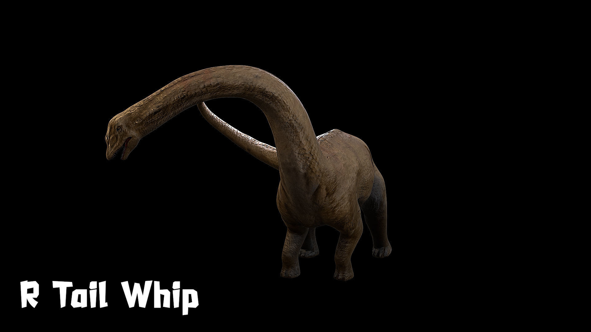 Sauropoda - Long Neck Dinosaur Low-poly 3D model_20