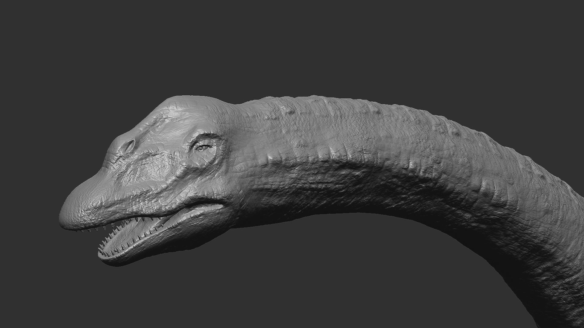 Sauropoda - Long Neck Dinosaur Low-poly 3D model_6