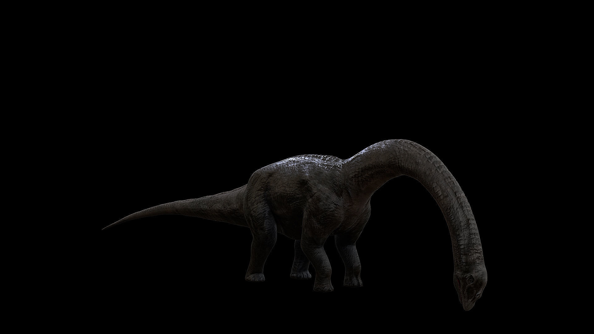 Sauropoda - Long Neck Dinosaur Low-poly 3D model_21