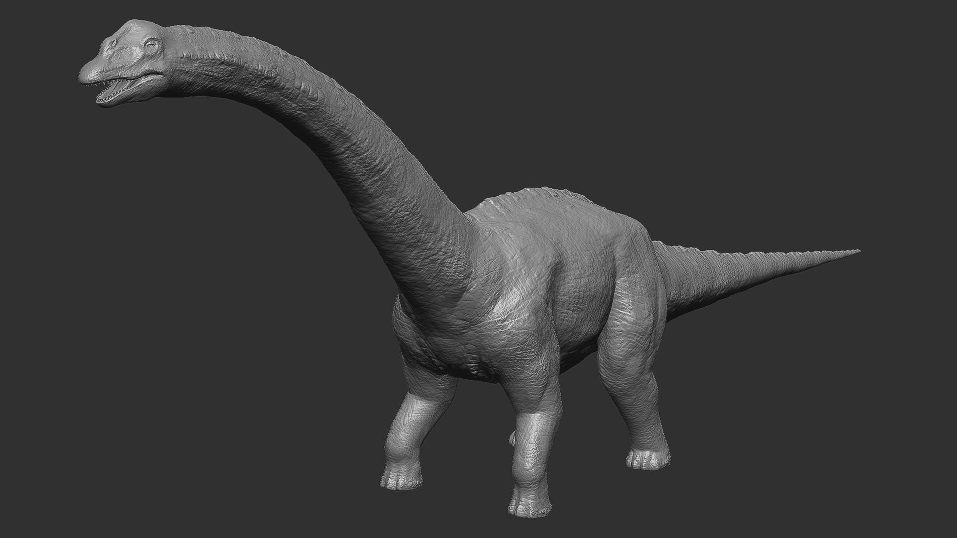 Sauropoda - Long Neck Dinosaur Low-poly 3D model_5