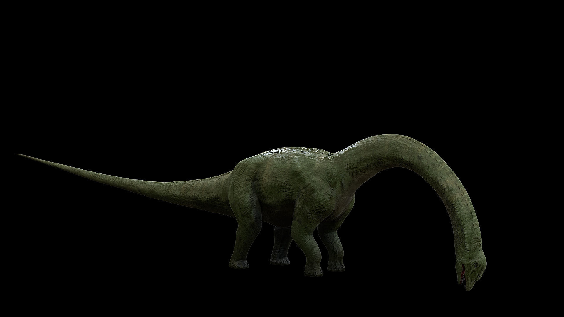 Sauropoda - Long Neck Dinosaur Low-poly 3D model_31