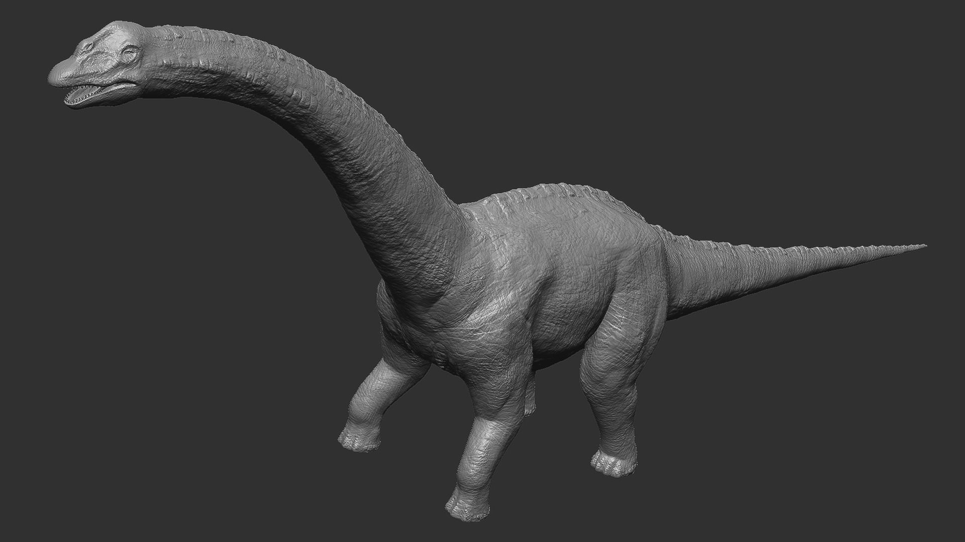 Sauropoda - Long Neck Dinosaur Low-poly 3D model_25
