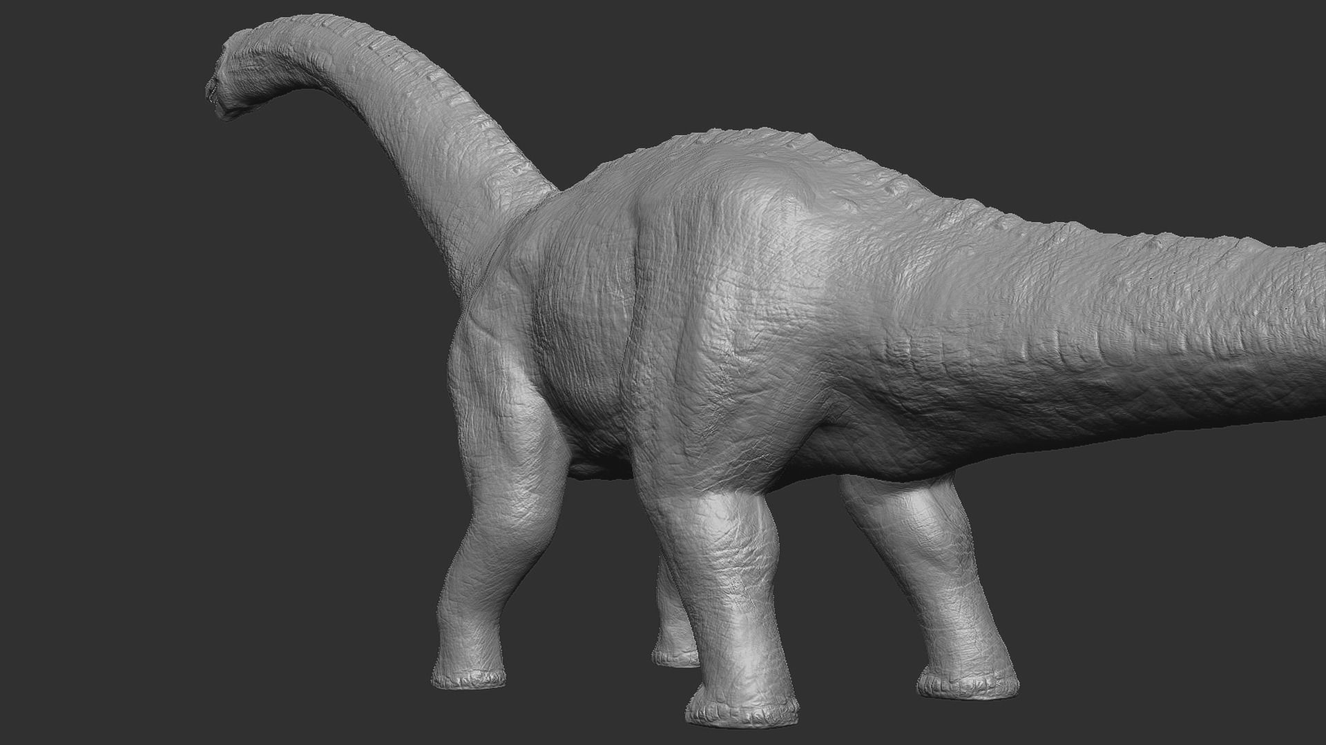 Sauropoda - Long Neck Dinosaur Low-poly 3D model_24