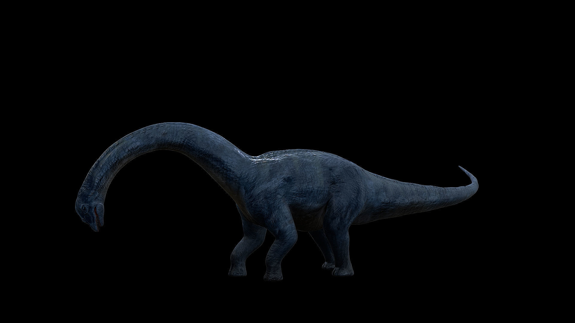 Sauropoda - Long Neck Dinosaur Low-poly 3D model_12