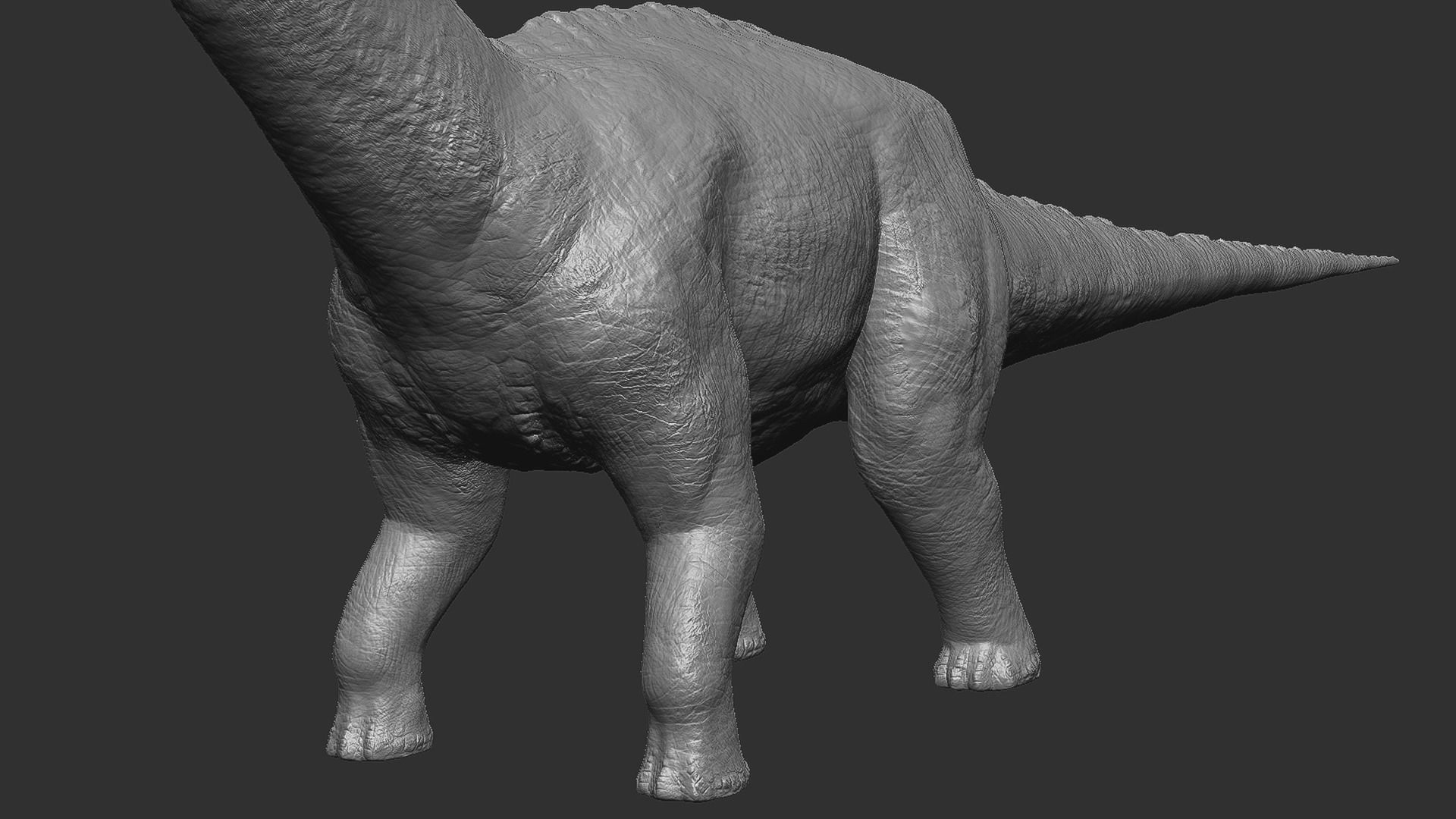 Sauropoda - Long Neck Dinosaur Low-poly 3D model_15