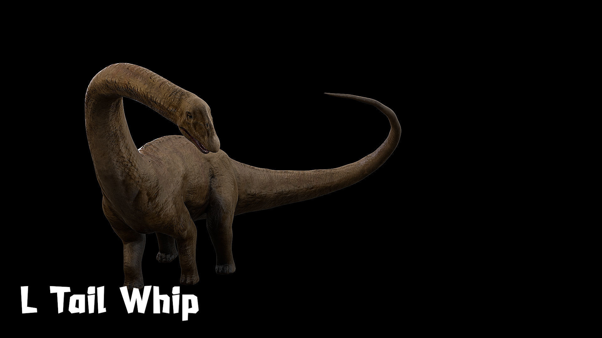 Sauropoda - Long Neck Dinosaur Low-poly 3D model_19